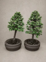 Eternal Pair Bonsai