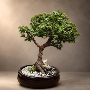 Masterpiece Jade Bonsai